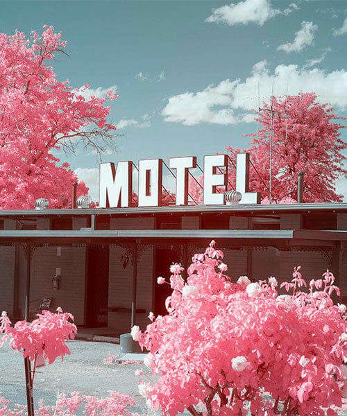 infrared world of bright pink emerges from sean paris' photographic journey across australia